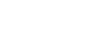 ThinKing Consult